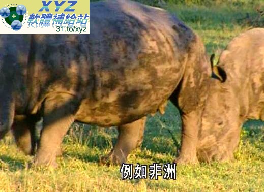 藍光畫質版 歐洲十萬個為什麼 HOW AND WHY 01-08集(完) 國語/英語發音 繁體中文/英文語言字幕版(適用任何家用DVD播放機超清晰畫面超長超值享受)(DVD9版)(2DVD9)